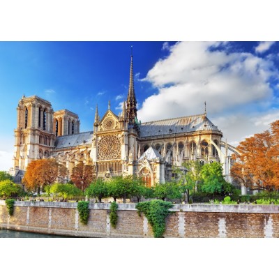Bluebird-Puzzle - 1000 pieces - Cathédrale Notre-Dame de Paris