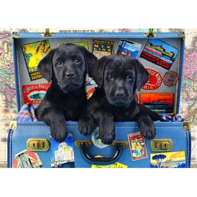 Bluebird-Puzzle - 48 pieces - Travel Labs