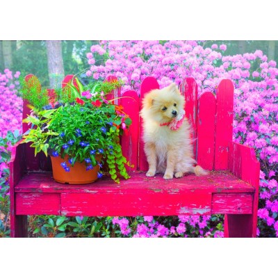 Bluebird-Puzzle - 500 pieces - Puppy in the Colorful Garden