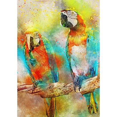 Bluebird-Puzzle - 1000 pieces - Parrots