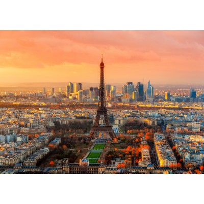 Bluebird-Puzzle - 1000 pieces - Eiffel Tower, Paris, France