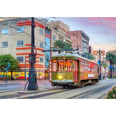 Bluebird-Puzzle - 1000 pieces - Tramway, New Orleans, USA