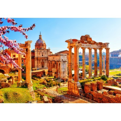 Bluebird-Puzzle - 1000 pieces - Roman Ruins in Spring, Italy