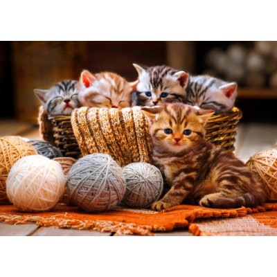 Bluebird-Puzzle - 1000 pieces - Kittens in Basket