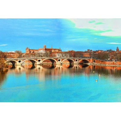 Bluebird-Puzzle - 1000 pieces - Toulouse - Pont Neuf