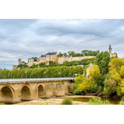 Bluebird-Puzzle - 1000 pieces - Forteresse Royale de Chinon, France