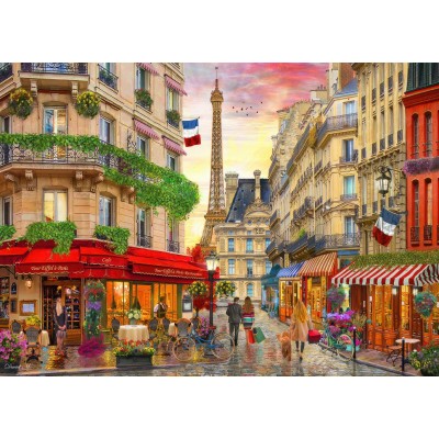 Bluebird-Puzzle - 500 pieces - Paris Rendez-vous