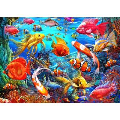 Bluebird-Puzzle - 500 pieces - Tropical Fish