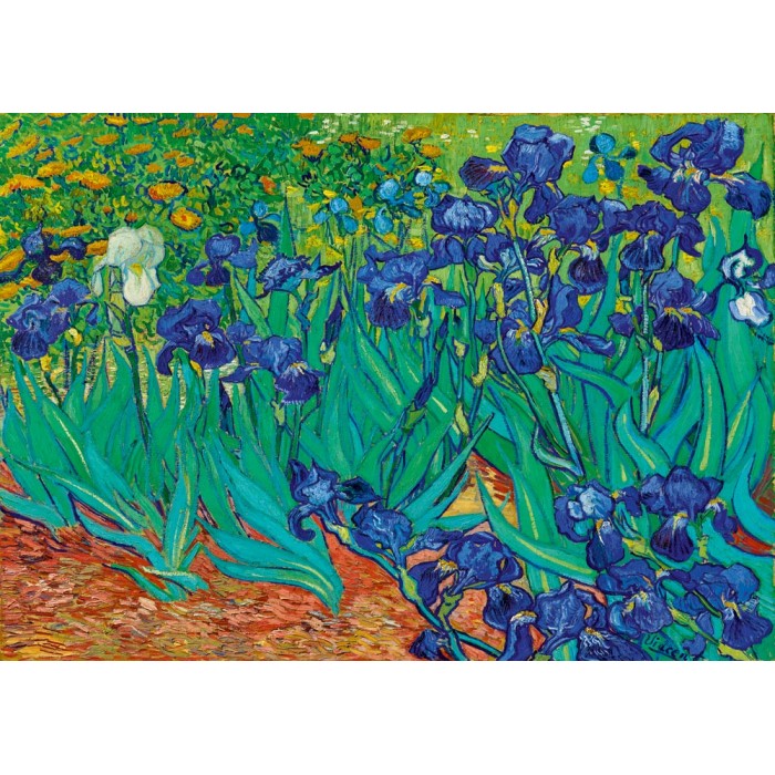 Puzzle Vincent Van Gogh - Irises, 1889 - 1000 pièces -Art-by-Bluebird-60006