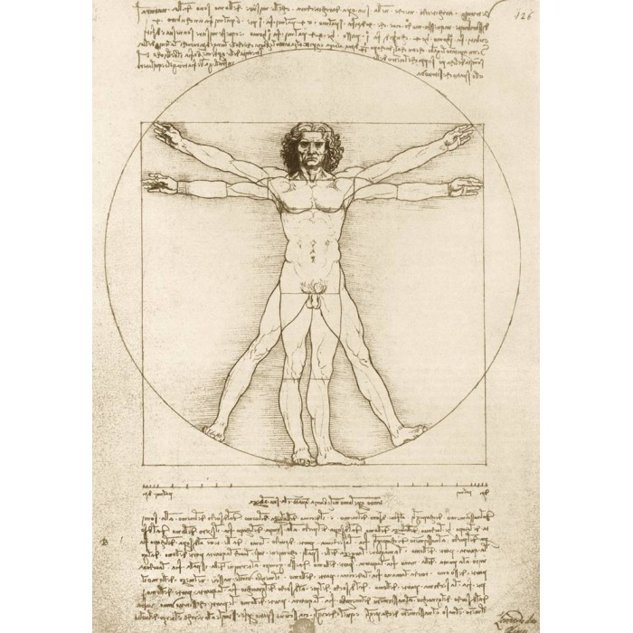 Puzzle Art-by-Bluebird-60009 Leonardo Da Vinci - The Vitruvian Man, 1490