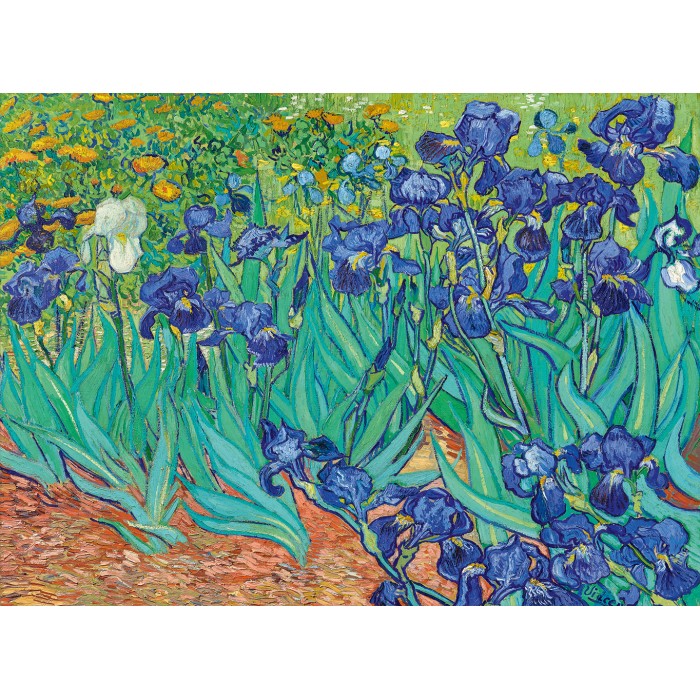 Puzzle Art-by-Bluebird-60165 Vincent Van Gogh - Irises, 1889