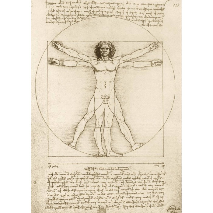 Puzzle Art-by-Bluebird-F-60211 Leonardo Da Vinci - The Vitruvian Man, 1490