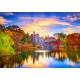 Bluebird-Puzzle - 1000 pièces - Belvedere Castle, New York