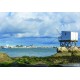 Bluebird-Puzzle - 1000 pièces - Carrelet & Royan