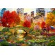 Bluebird-Puzzle - 1000 pièces - Central Park NYC