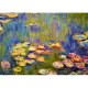 Bluebird-Puzzle - 1000 pieces - Claude Monet - Nymphéas