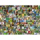 Bluebird-Puzzle - 4000 pièces - Collage - World's most Beautiful Birds
