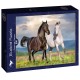 Bluebird-Puzzle - 500 pièces - Couple de Chevaux
