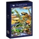 Bluebird-Puzzle - 1000 pièces - Dino Sunset