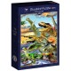 Bluebird-Puzzle - 300 pièces - Dino Sunset