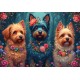 Bluebird-Puzzle - 1000 pieces - Dog trio