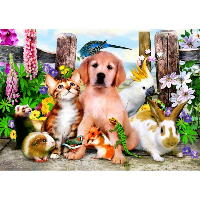 Puzzle Bluebird-Puzzle-F-90127 Good Companions