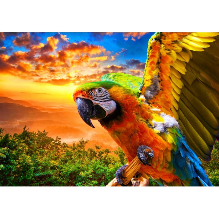 Puzzle Bluebird-Puzzle-F-90263 Parrot