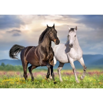 Puzzle  Bluebird-Puzzle-F-90282 Couple de Chevaux