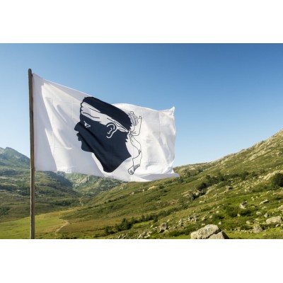 Puzzle  Bluebird-Puzzle-F-90436 Drapeau de la Corse