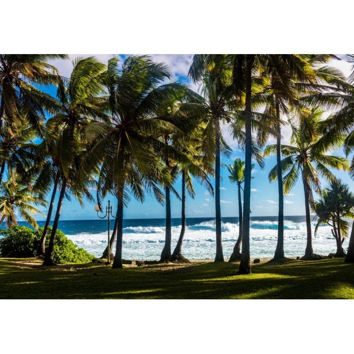 Puzzle Bluebird-Puzzle-F-90477 Plage et Palmiers, La Réunion, France