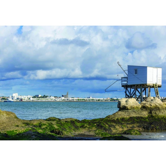 Puzzle Bluebird-Puzzle-F-90542 Carrelet & Royan