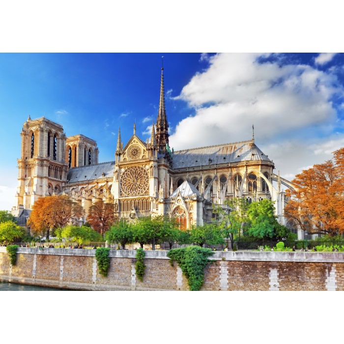 Puzzle Bluebird-Puzzle-F-90768 Cathédrale Notre-Dame de Paris