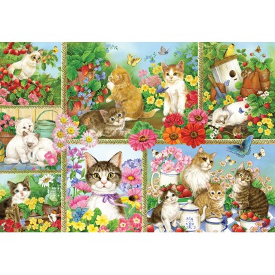 Puzzle  Bluebird-Puzzle-F-91014 Cats and Kittens