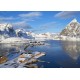 Bluebird-Puzzle - 500 pieces - Fjord - Lofoten Archipelago