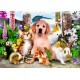Bluebird-Puzzle - 500 pièces - Good Companions