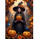 Bluebird-Puzzle - 500 pieces - Halloween Witch