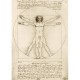 Bluebird-Puzzle - 1000 pièces - Leonardo Da Vinci - The Vitruvian Man, 1490