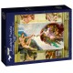 Bluebird-Puzzle - 1000 pieces - Michelangelo - The Creation of Adam, 1511