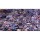 Bluebird-Puzzle - 260 pieces - Mystery Puzzle without Box & without Image - Bag of 260 Pieces