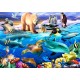 Bluebird-Puzzle - 1000 pièces - Oceans of Life