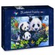 Bluebird-Puzzle - 100 pieces - Panda Family