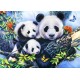 Bluebird-Puzzle - 1000 pièces - Panda Family