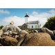 Bluebird-Puzzle - 1000 pièces - Phare de Pontusval, Bretagne, France