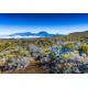 Bluebird-Puzzle - 1000 pièces - Piton des Neiges, La Réunion, France