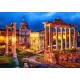 Bluebird-Puzzle - 1000 pièces - Roman Forum