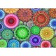 Bluebird-Puzzle - 1000 pieces - Rose Window