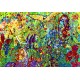 Bluebird-Puzzle - 1000 pièces - The Rainforest
