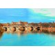 Bluebird-Puzzle - 1000 pièces - Toulouse - Pont Neuf