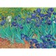Bluebird-Puzzle - 3000 pieces - Vincent Van Gogh - Irises, 1889